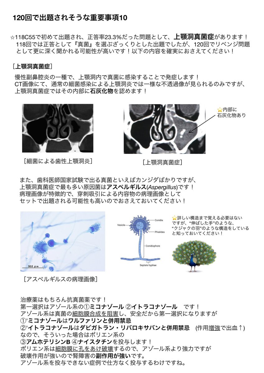 じこりーた tweet media