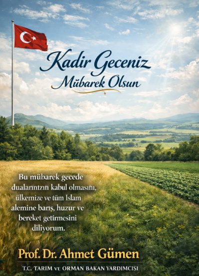 Ahmet GÜMEN tweet media