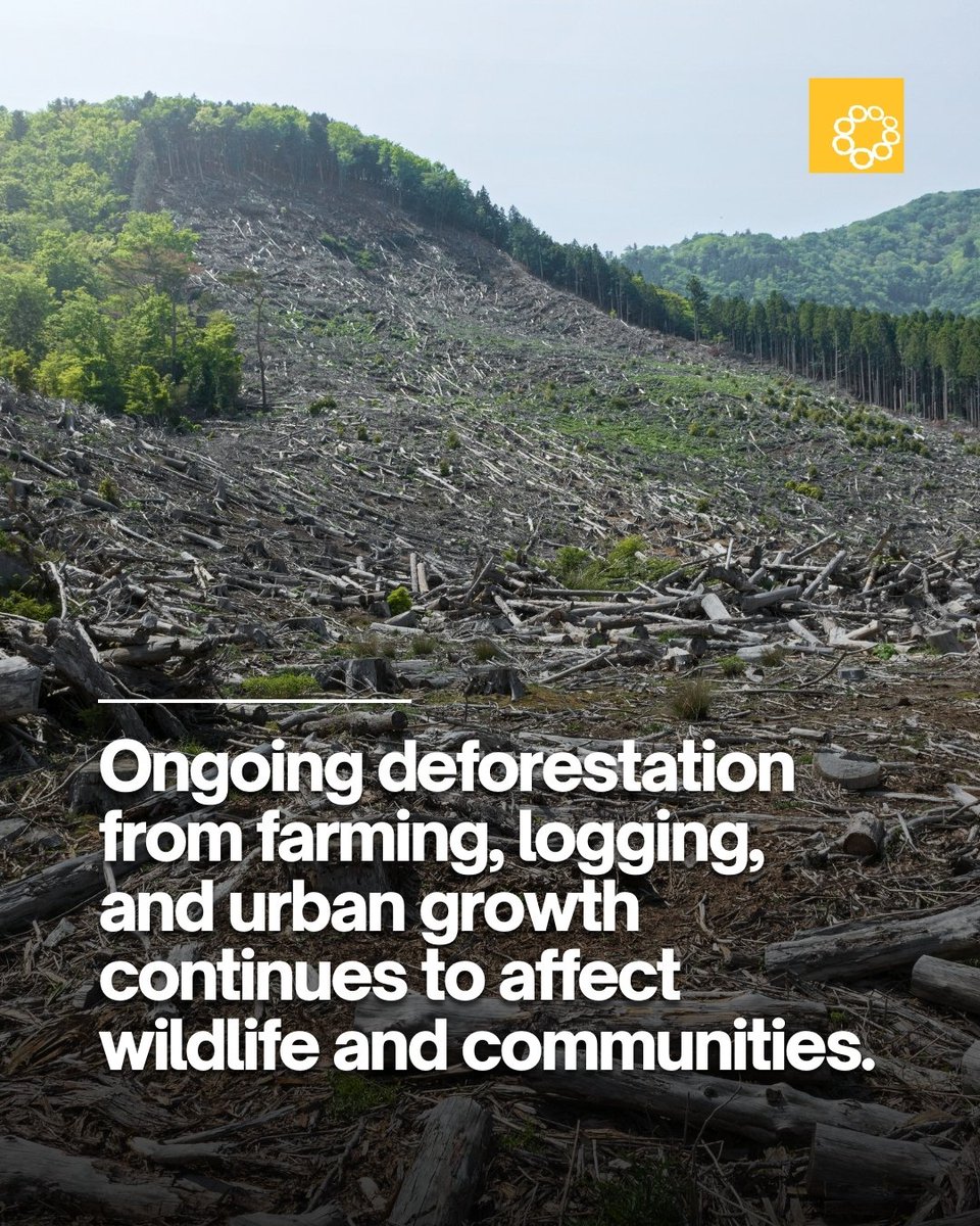 Oscar M. Lopez Center tweet media