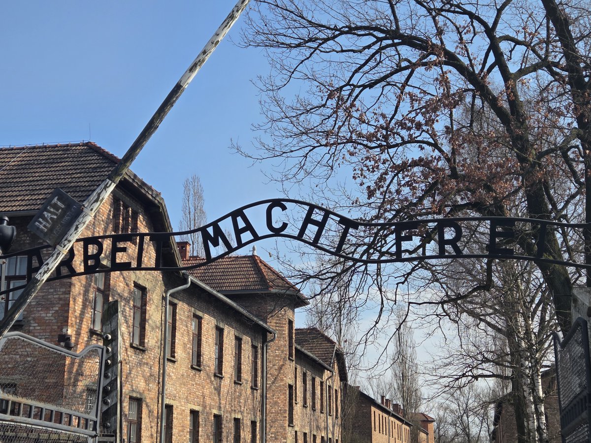 Holy Trinity Catholic School tweet media