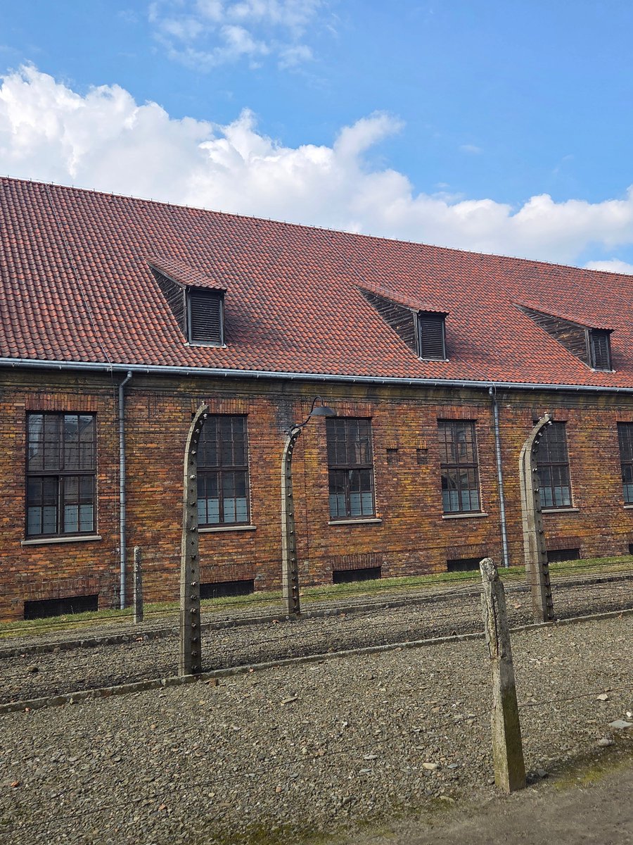 Holy Trinity Catholic School tweet media