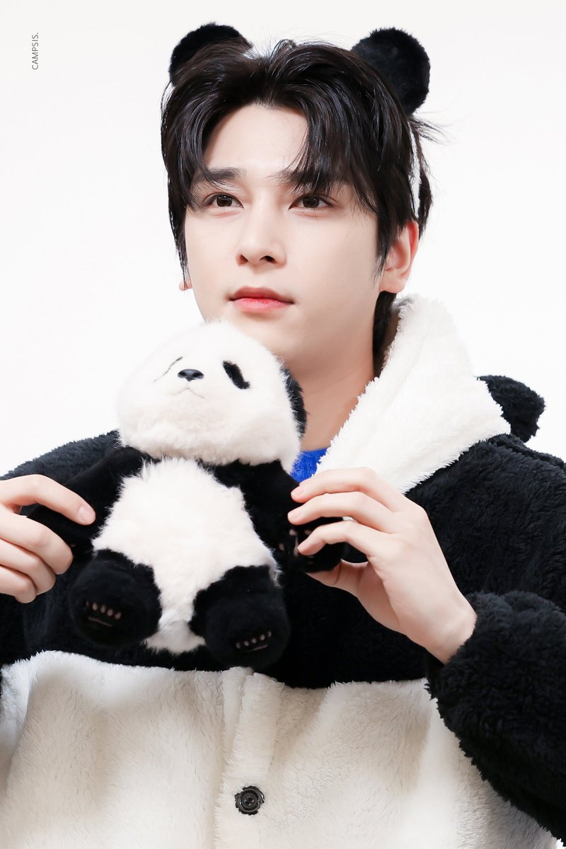 𝐂𝐀𝐌𝐏𝐒𝐈𝐒ꕤ tweet media