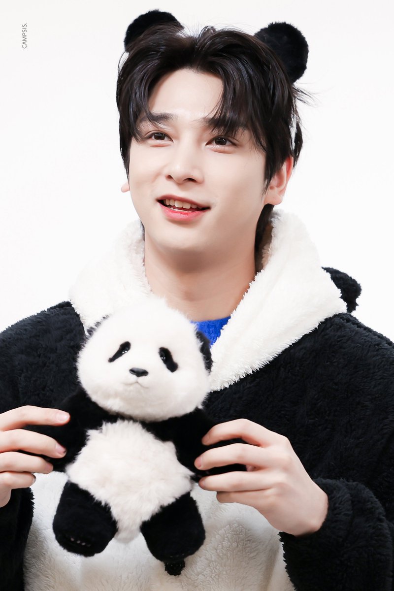 𝐂𝐀𝐌𝐏𝐒𝐈𝐒ꕤ tweet media