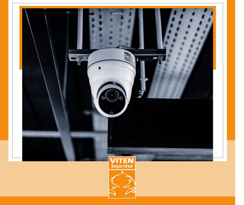 Viten Seguridad tweet media