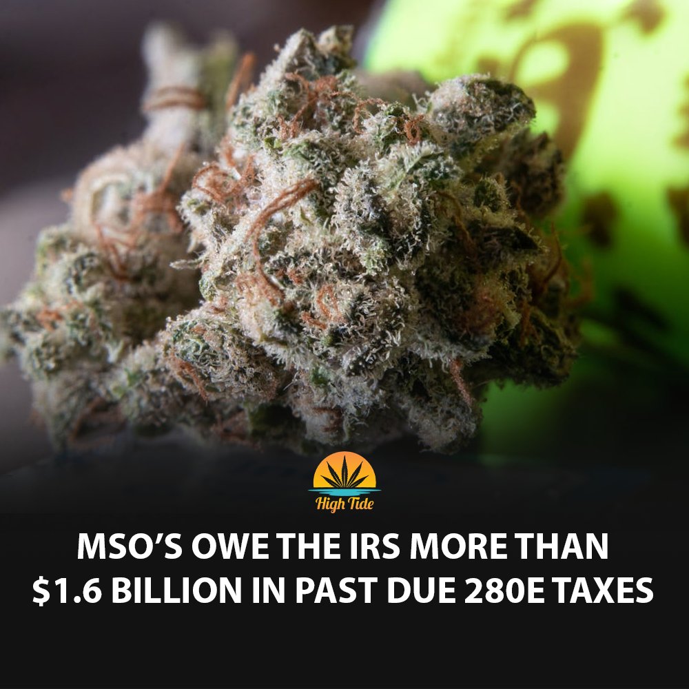 High Tide tweet media