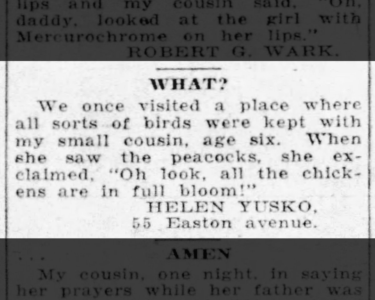 Newspapers.com tweet media