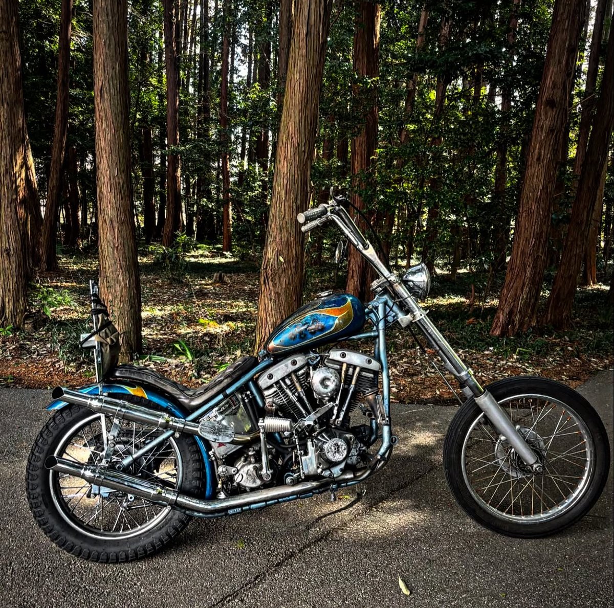 Lowbrow Customs tweet media