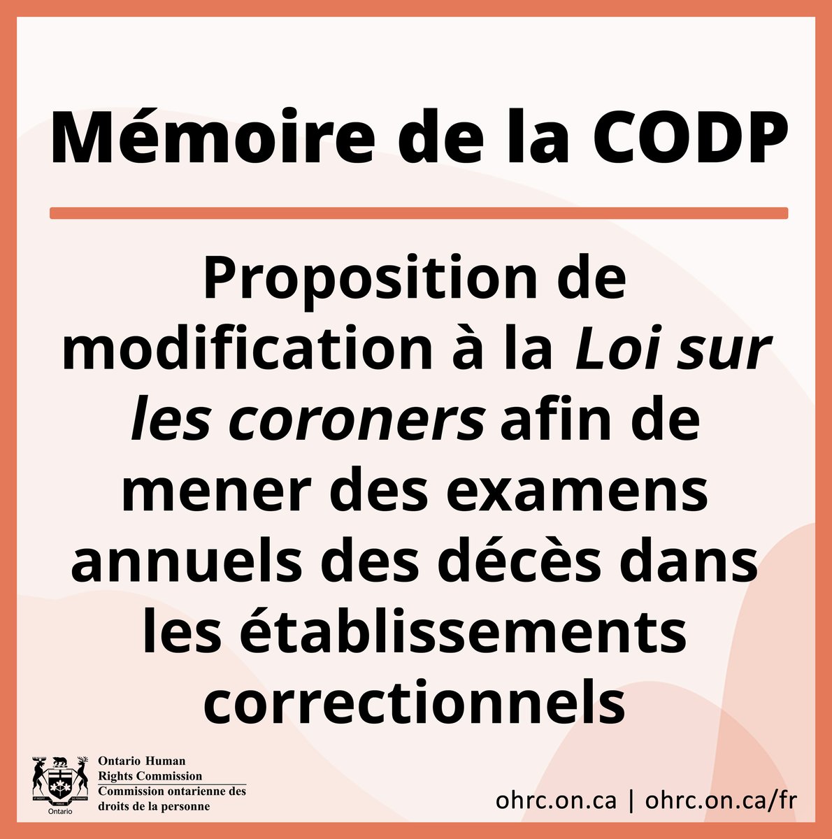 La CODP tweet media