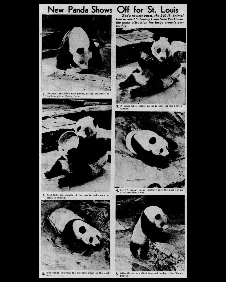 St. Louis Public Library tweet media