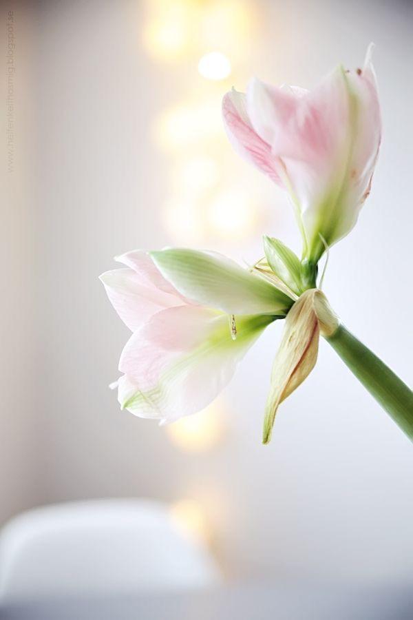 اس رسم تغافل کی ہے یہ کون سی منزل 
تو ہو کے میسر بھی میرے پاس نہیں
💝📝💖