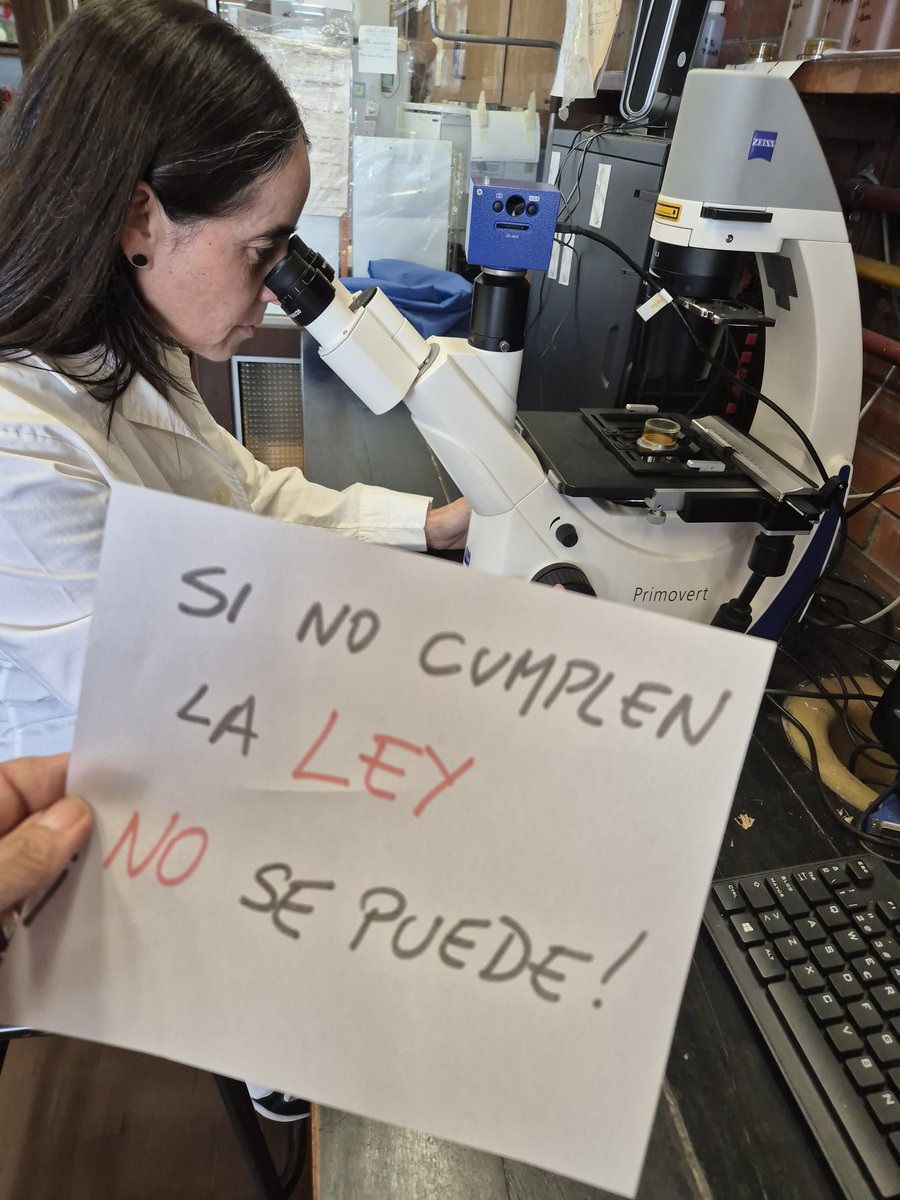 haydeecinha's tweet photo. Exigimos la aplicación de la Ley
N° 27.795 de Financiamiento
Universitario
#SinLeyNoSePuede https://t.co/BMF9WxdE5v