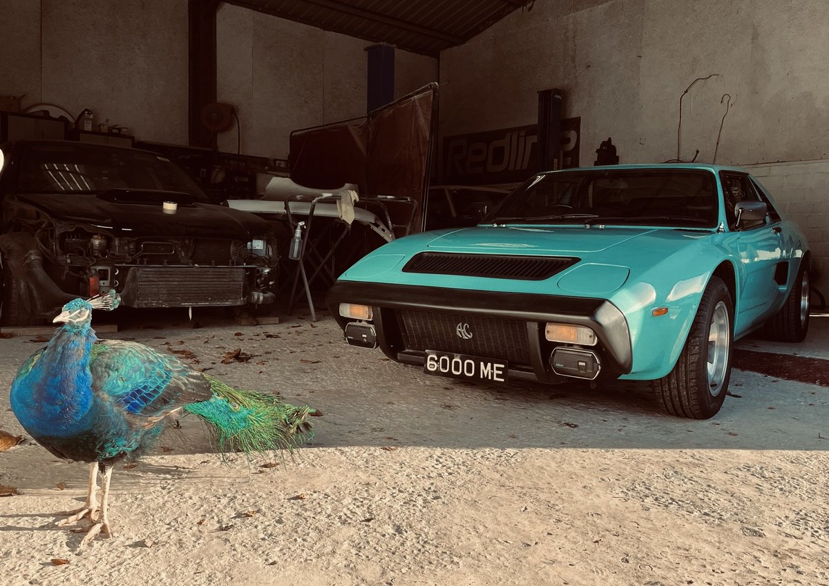 BristOli tweet media