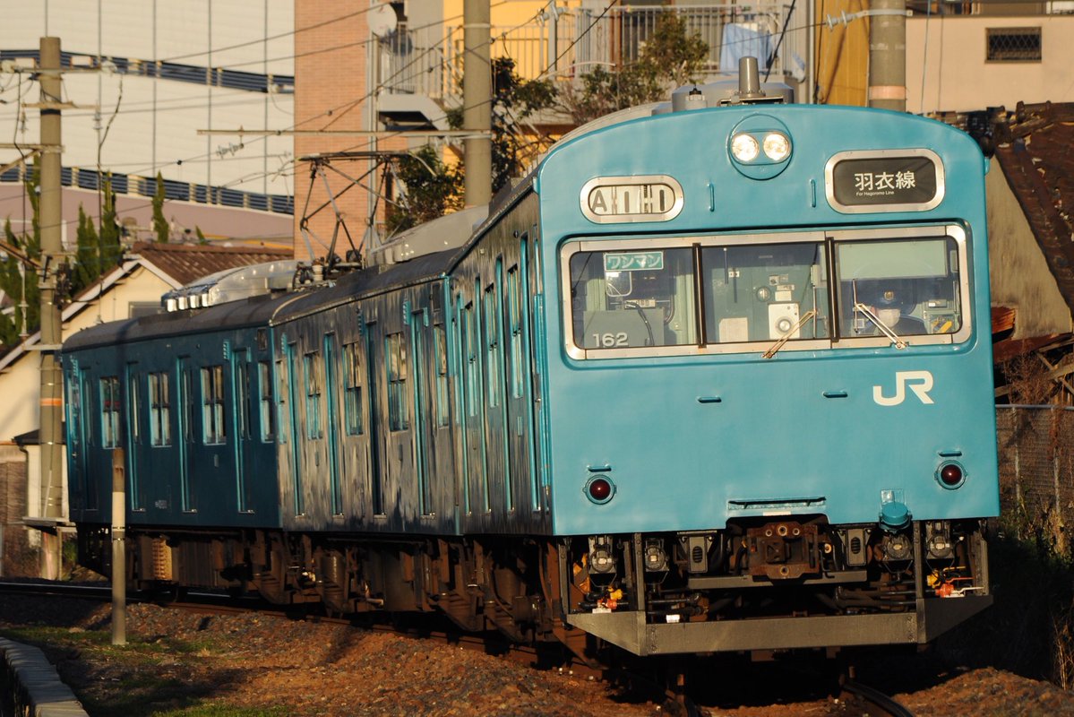 せにーにゃ tweet media