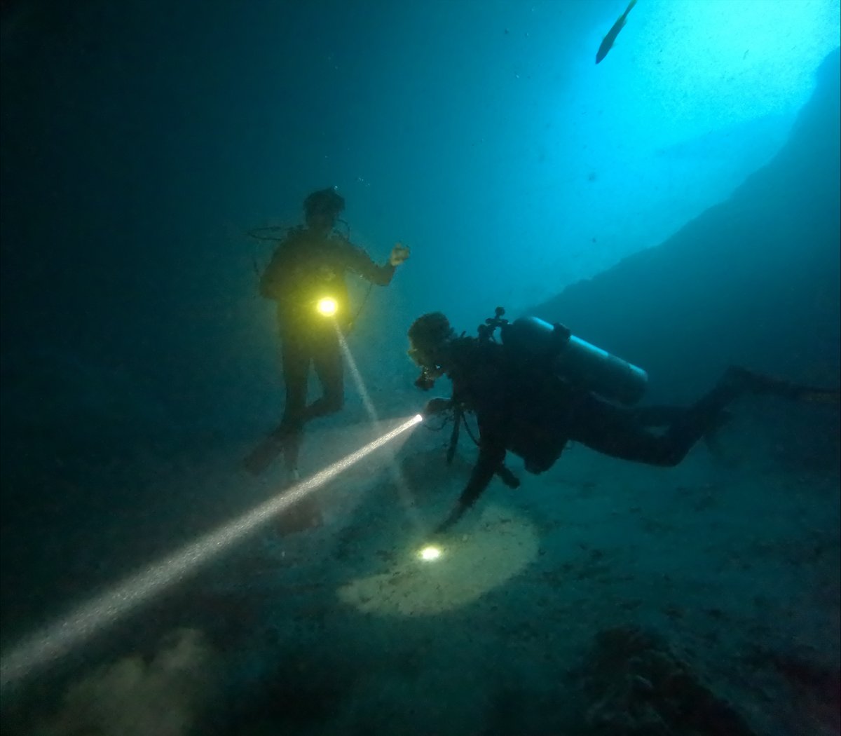 UF Urology tweet media