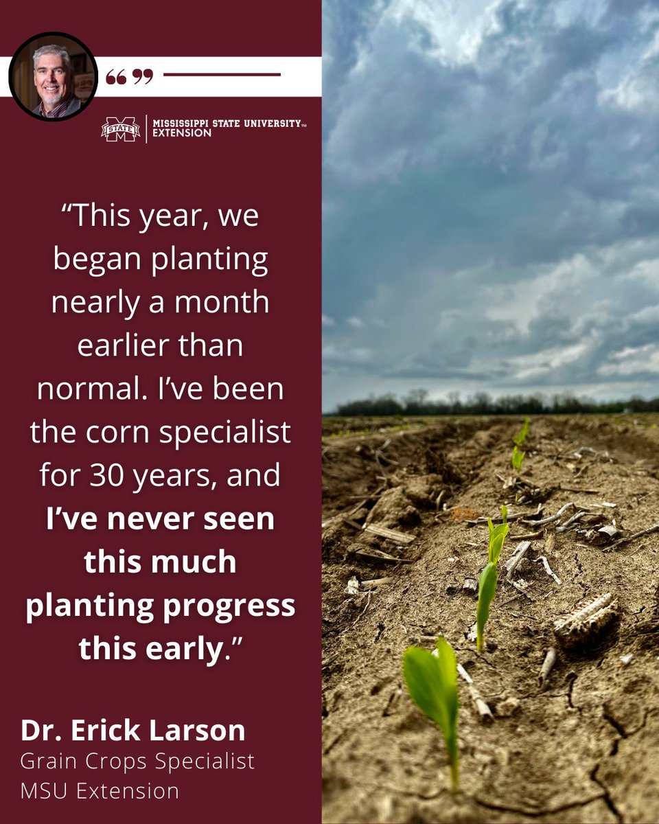 MSU Extension tweet media