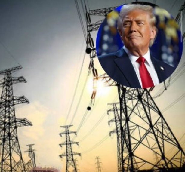 Liliana Franco tweet media