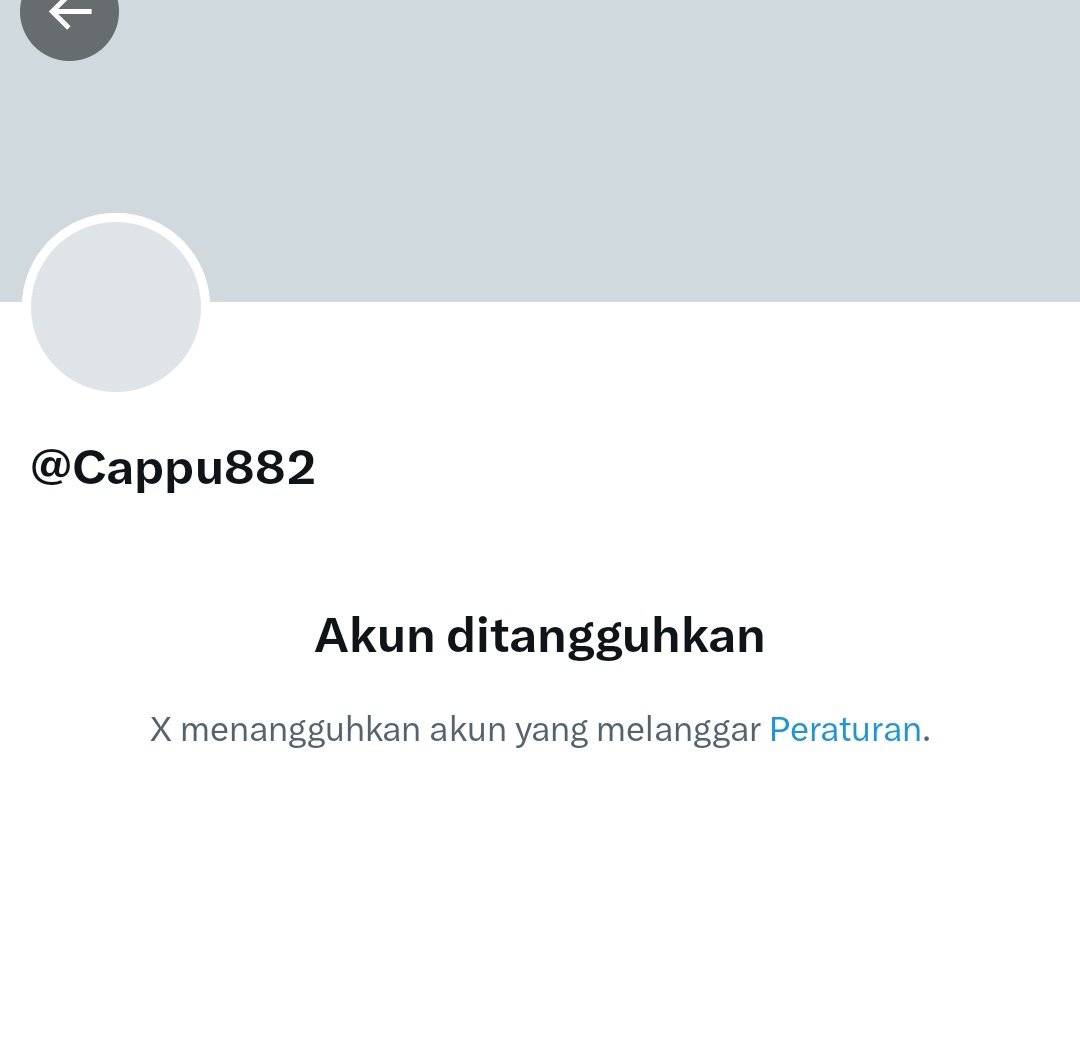 Klaus Query tweet media