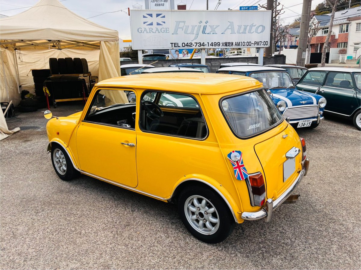 佐藤愛美🐿Ami Sato tweet media