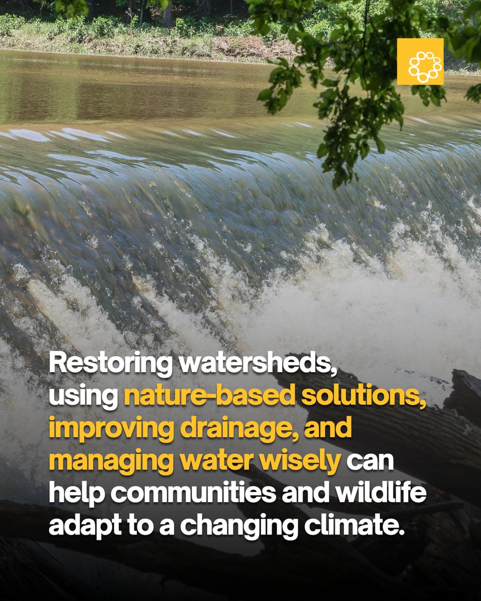 Oscar M. Lopez Center tweet media