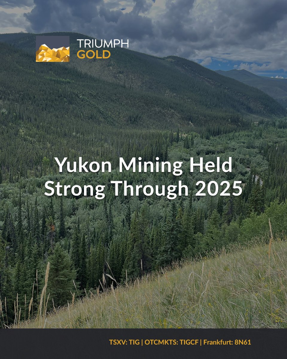 Triumph Gold Corp tweet media