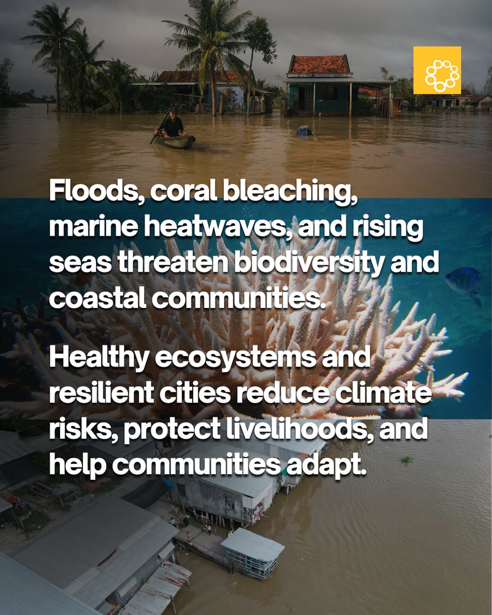 Oscar M. Lopez Center tweet media