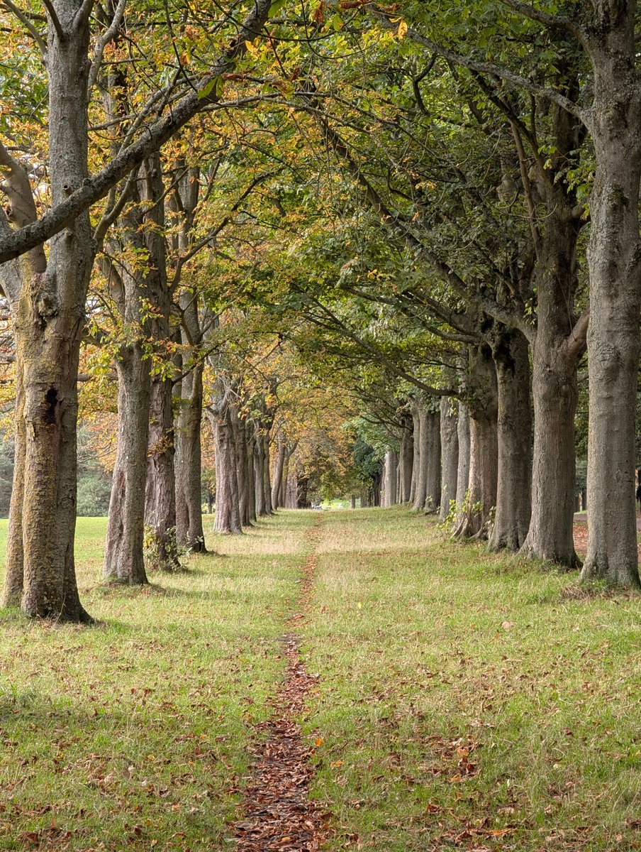 Martin Holmes tweet media