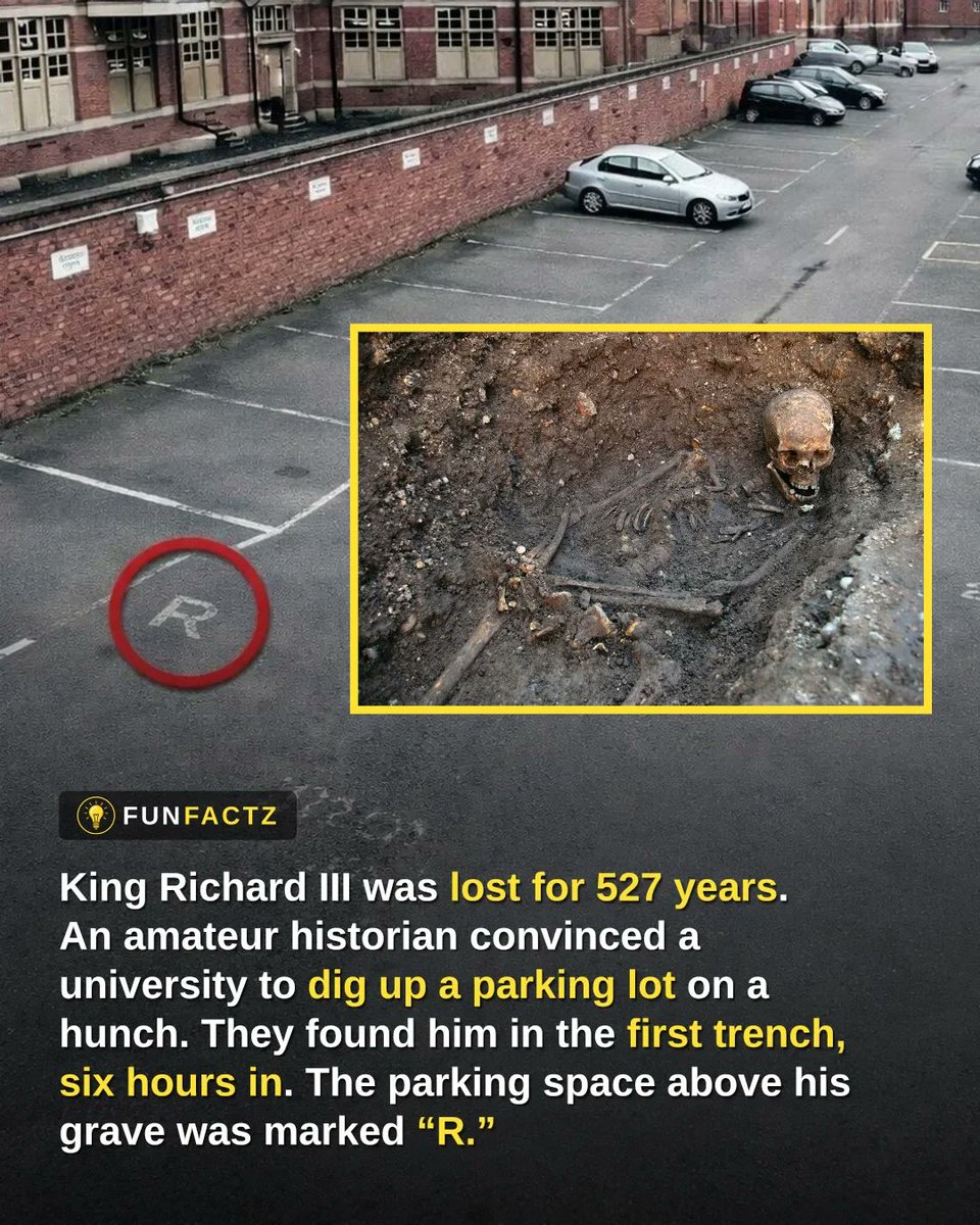 Fun Facts tweet media
