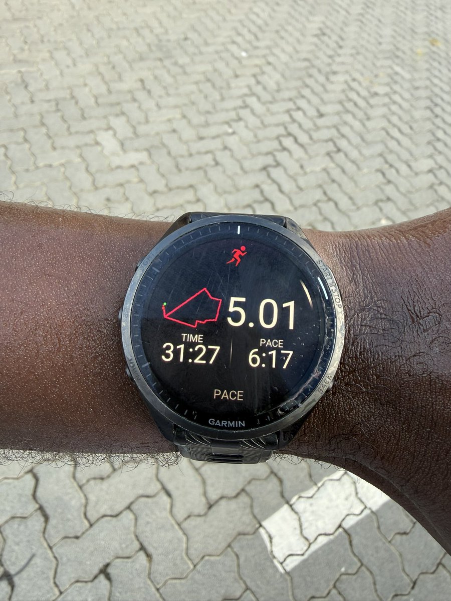 Rendani Mamphiswana, PhD tweet media