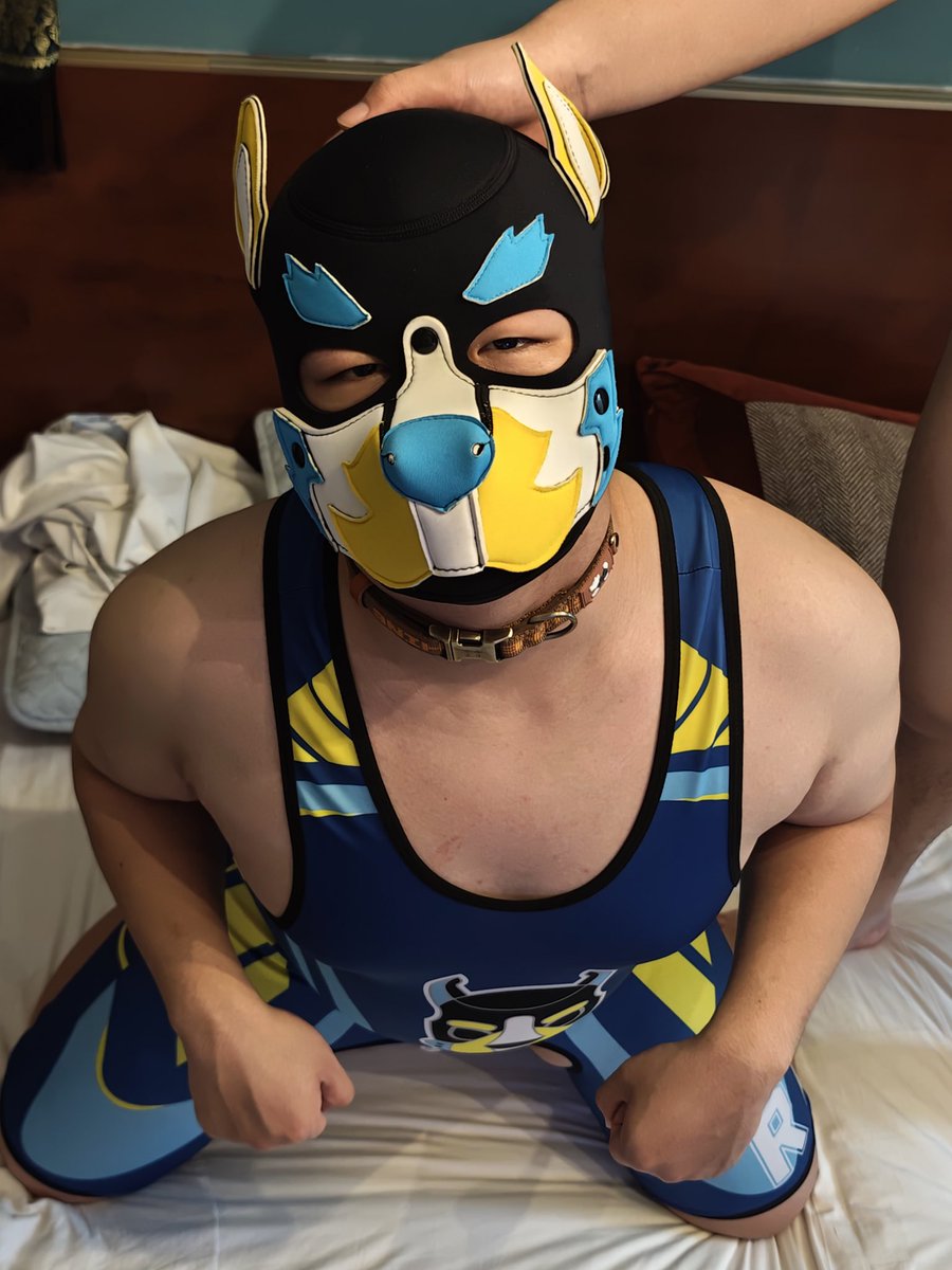 電気自転車 tweet media