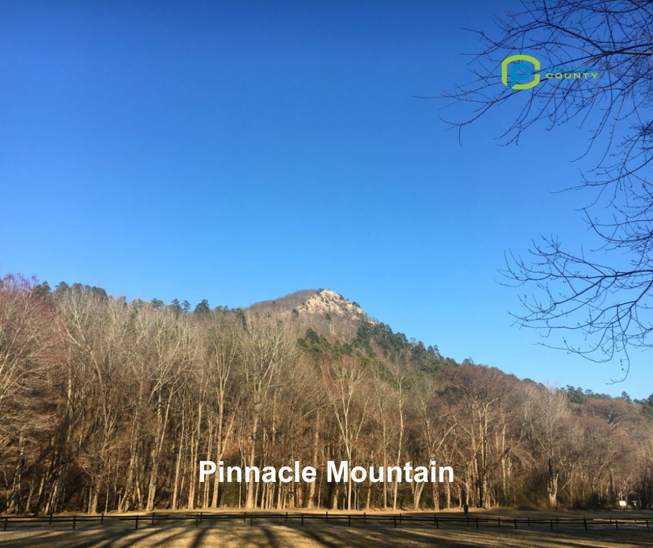 Pulaski County, AR tweet media