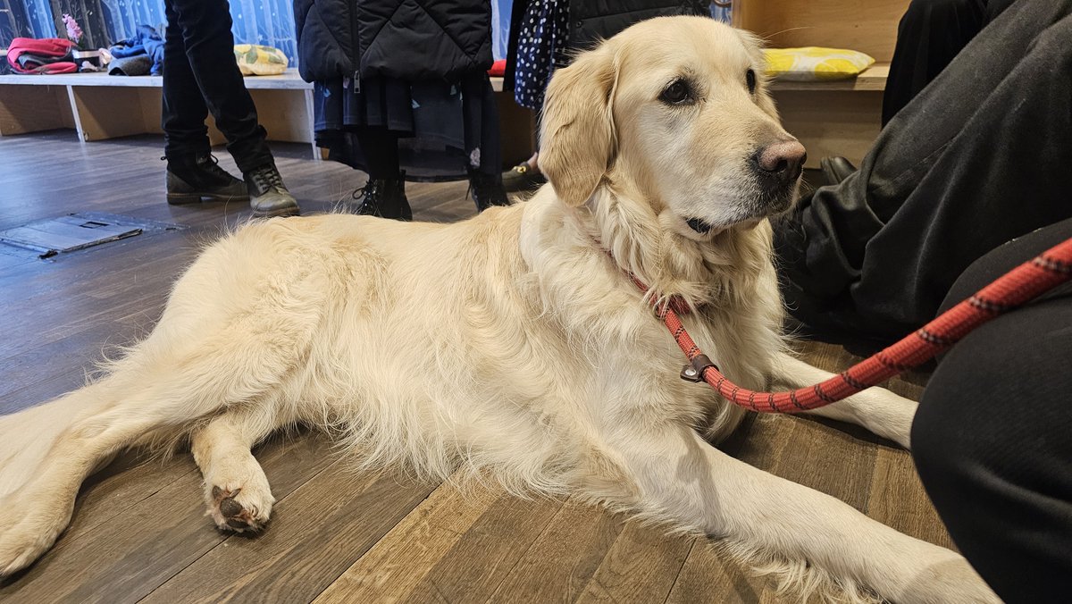 Lord Mayor Chester tweet media