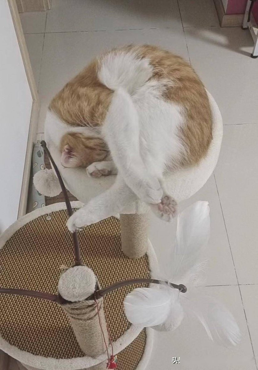 hugo bernard tweet media