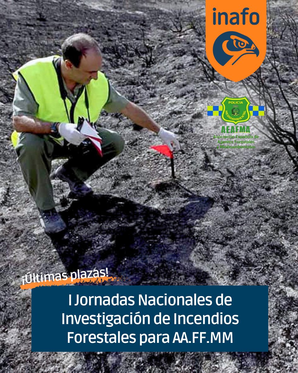 INAFO Instituto de Formación tweet media