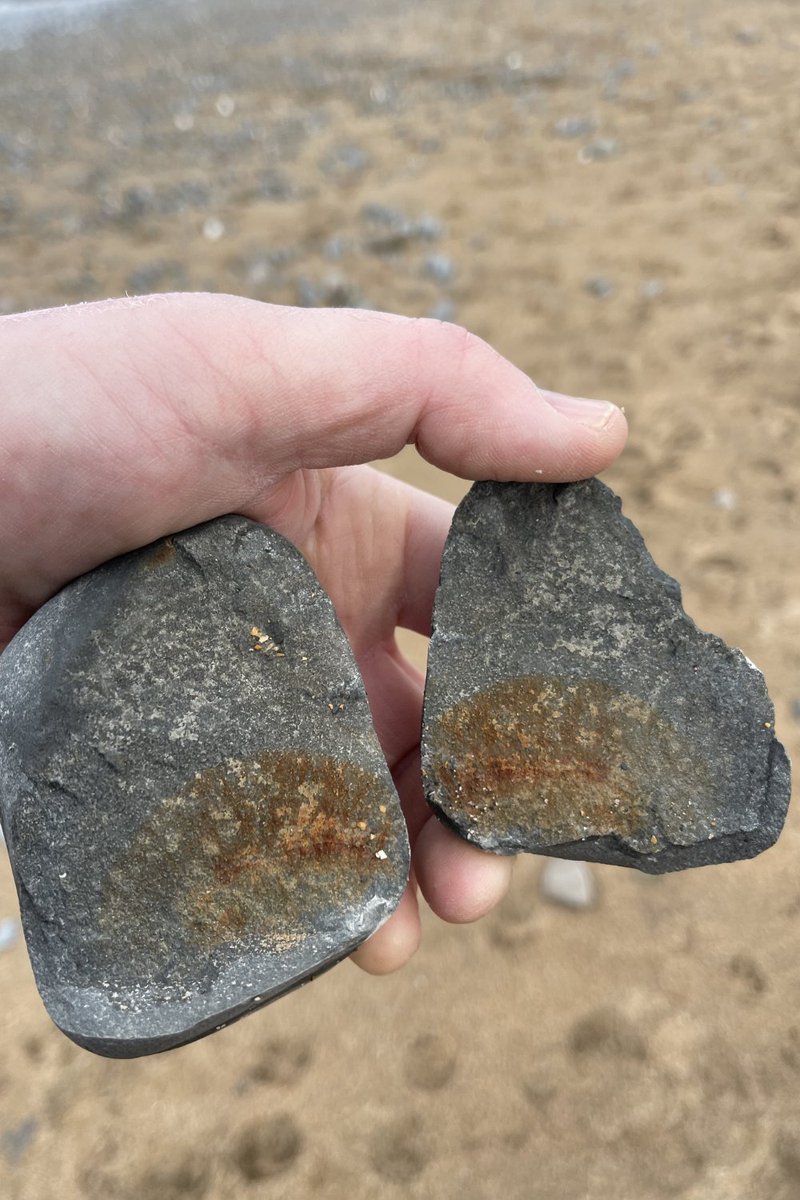 kernowcalm's tweet photo. Split rock revealing possible fossil or simply nature's pattern? Would love to know. 
Quiet Cornish discovery for calm observation and mindfulness. 🪨
#nature #calm #peaceful #relaxation #mindfulness #serene #cornwall #kernow #rocks #fossil https://t.co/46ZGLswgSz