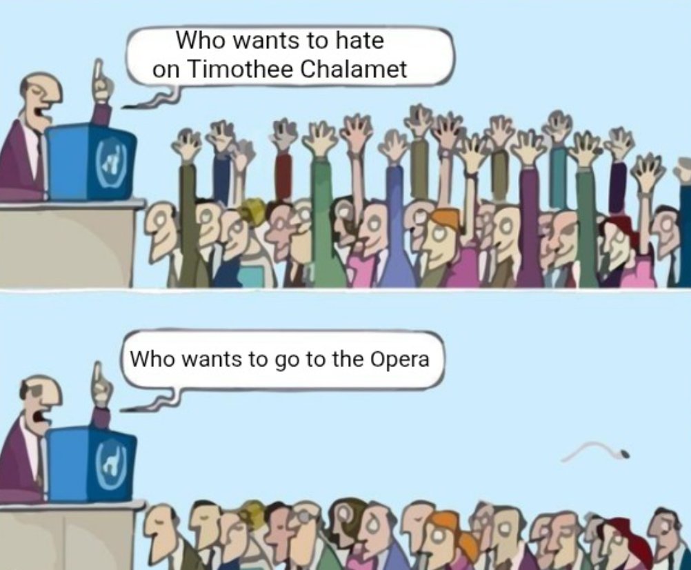 Maya Luna tweet media