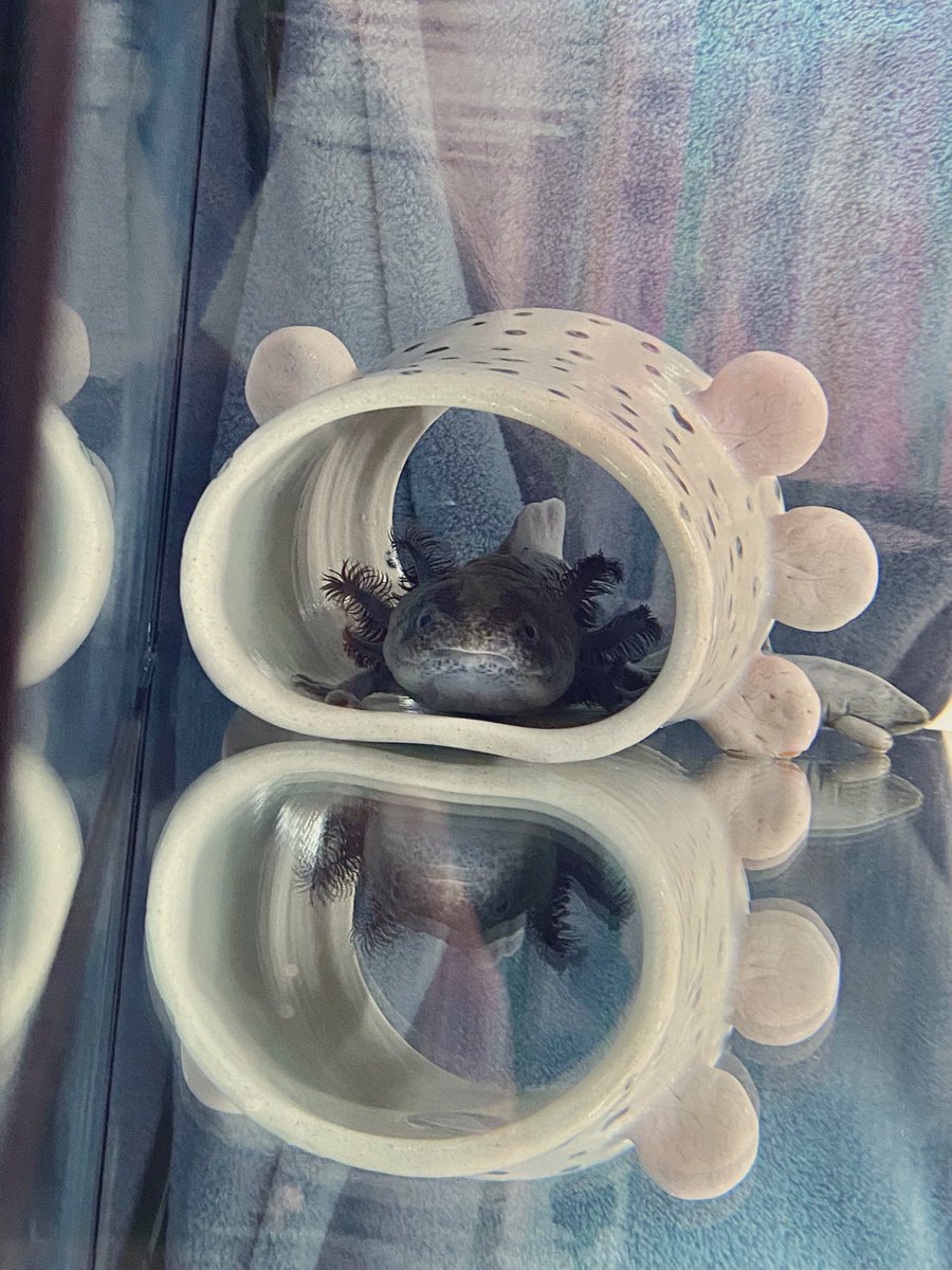 ずっとこの中にいるね