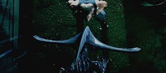 squeakyfrom tweet media