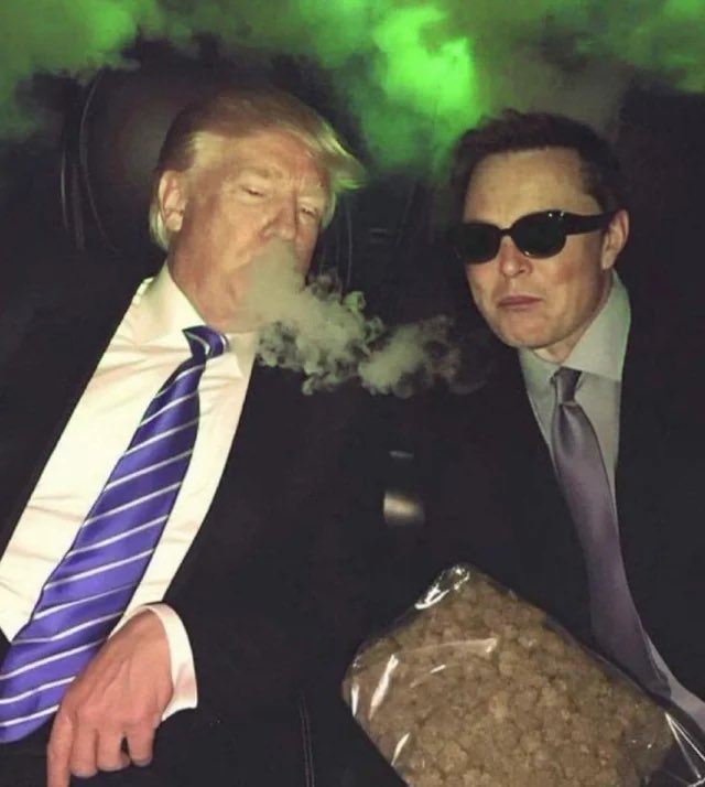 Minister 🔮 tweet media