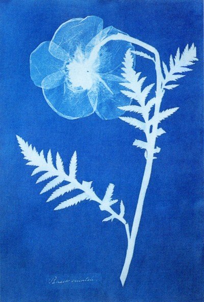 José Antonio Bustelo tweet media