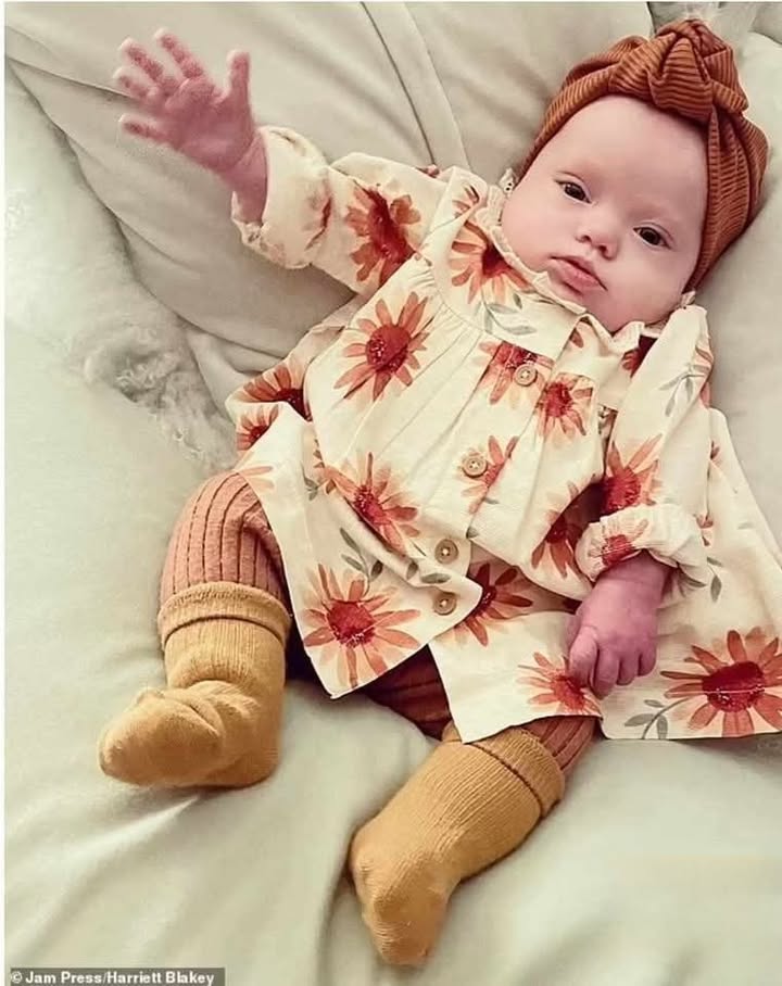 Precious Life tweet media