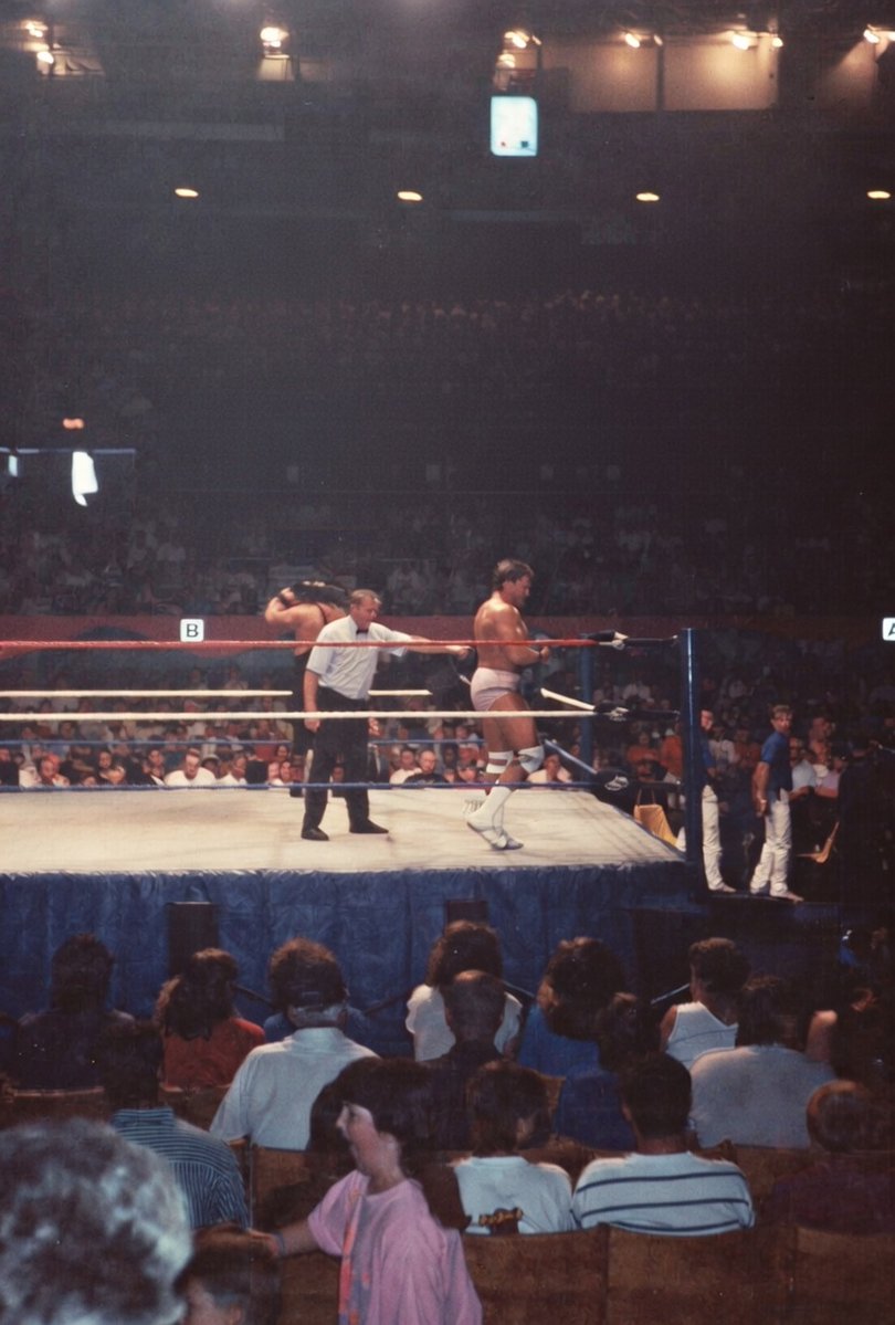 NECCCARDS tweet media