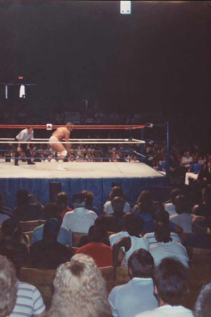 NECCCARDS tweet media