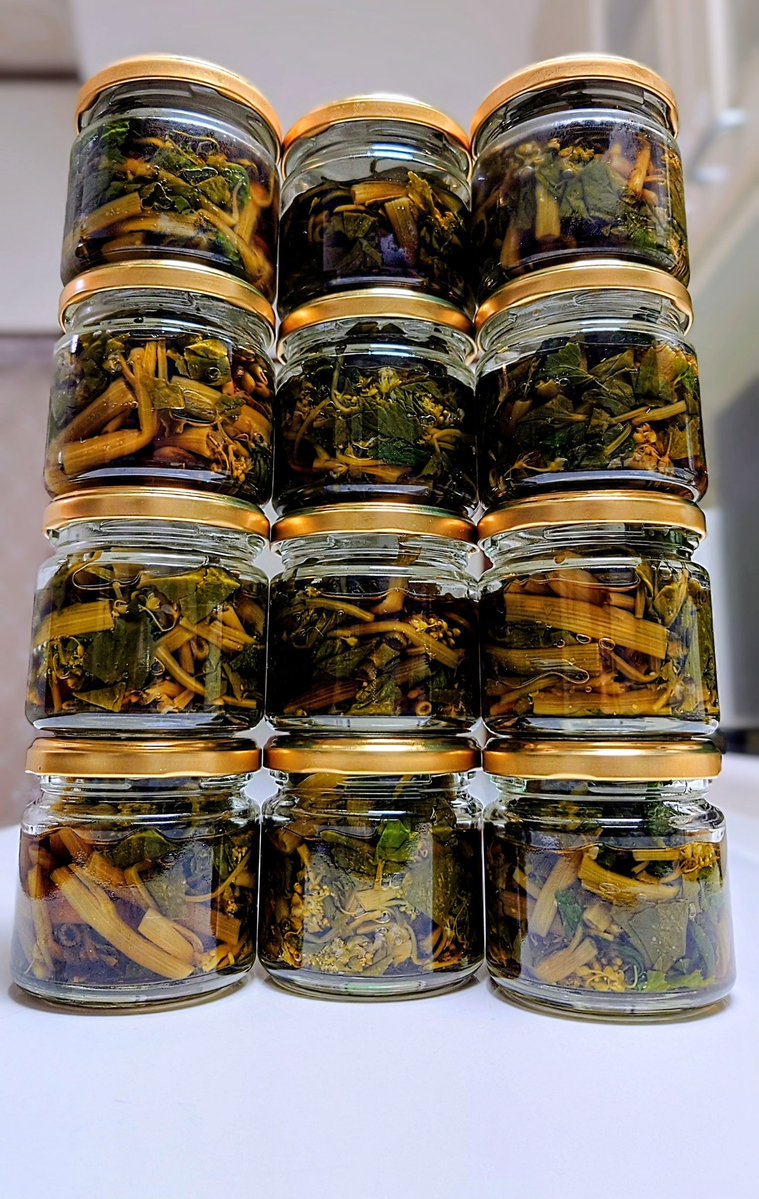 🦋˙˚ʚノラ ɞ˚˙🦋 後でﾘﾌﾟ廻りしま〜す✨ tweet media