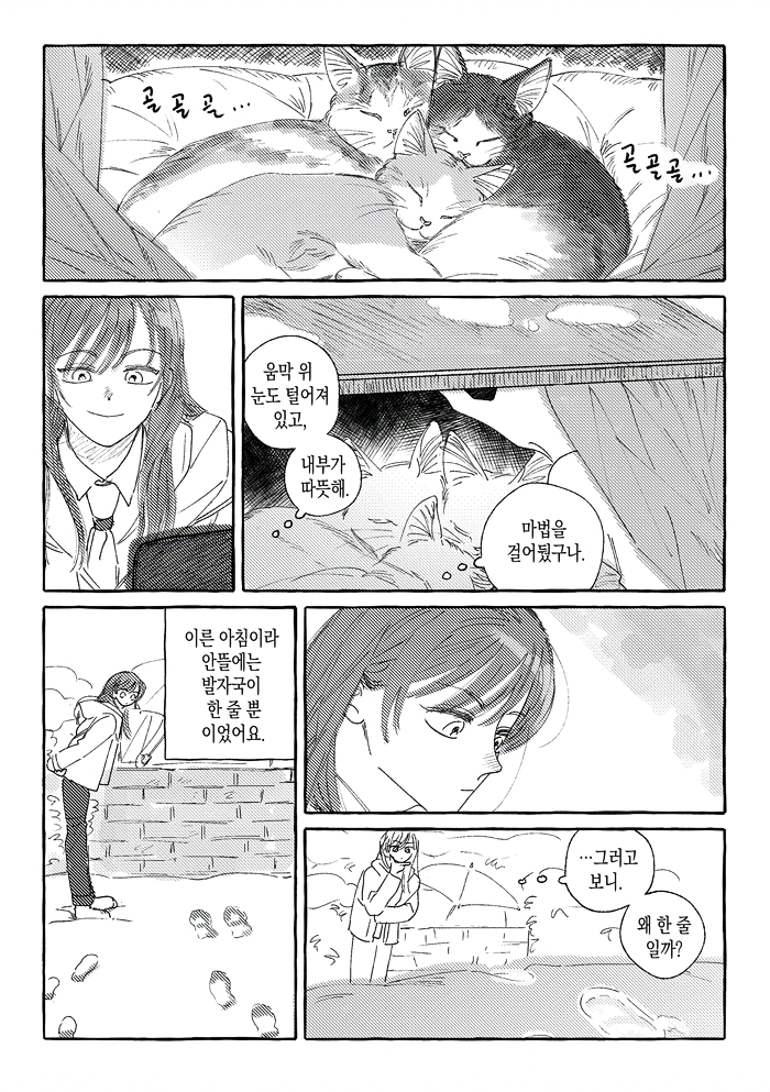 🐈‍⬛🐈코크피 tweet media