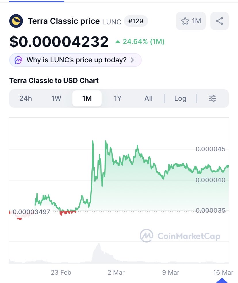 Mr. Diamondhandz1💎 tweet media