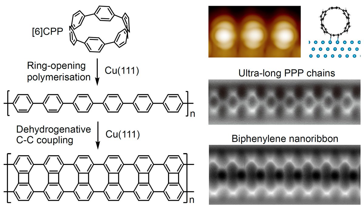 Michael Gottfried tweet media