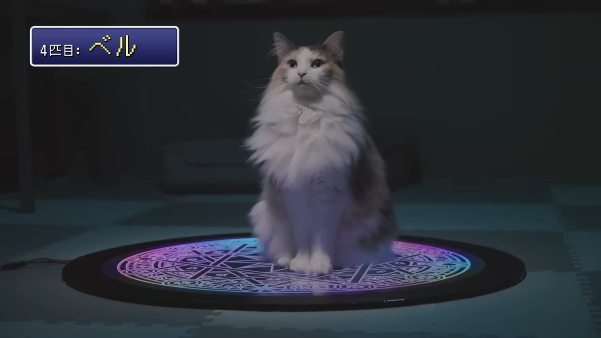 1000RP：【猫ホイホイ】ヤマトグループ公式が「究極のネコ転送装置」を