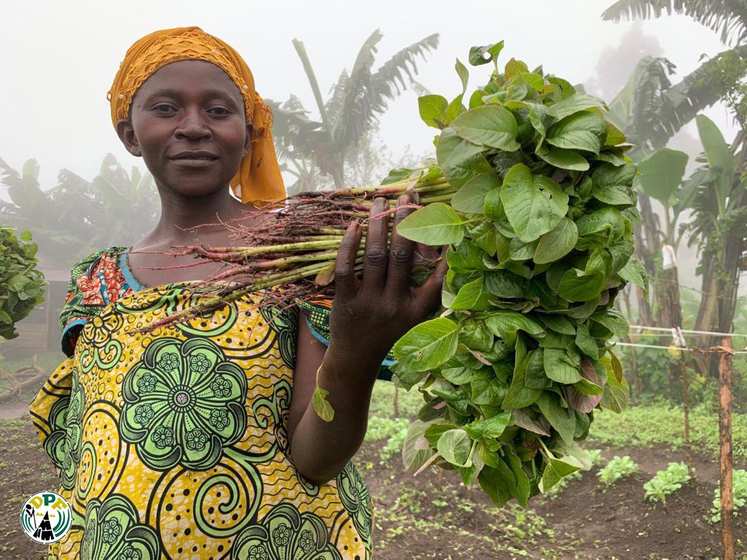 ongdpf1's tweet photo. Ces récoltes sont plus que des légumes.
Elles sont la preuve vivante de la #résilience des #femmes #rurales.
Dans les #champs d’amarante, choux et aubergines, l’espoir continue de grandir.

@FAORDCongo #DPF https://t.co/T1OecuaSW5
