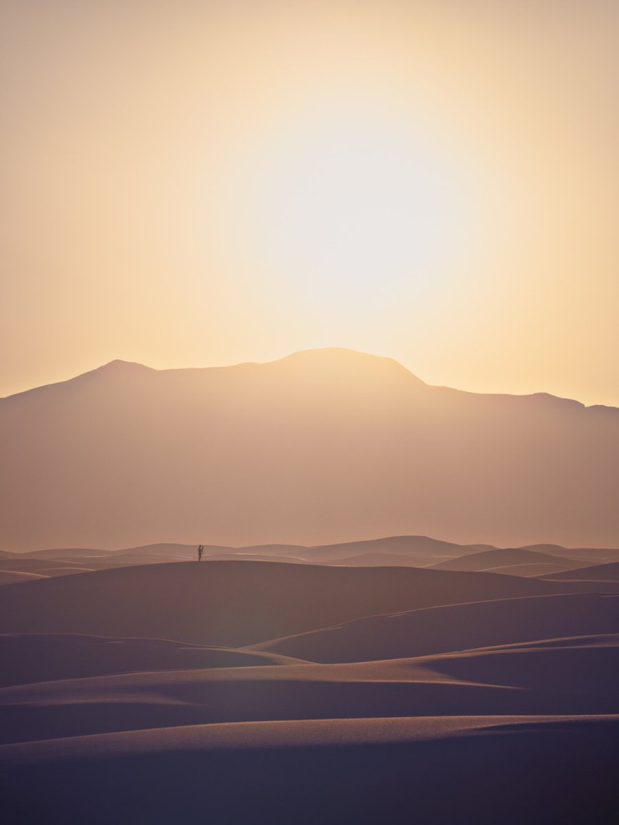 focuspirate tweet media