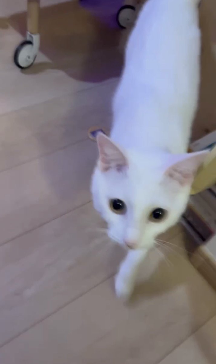 水野しず tweet media